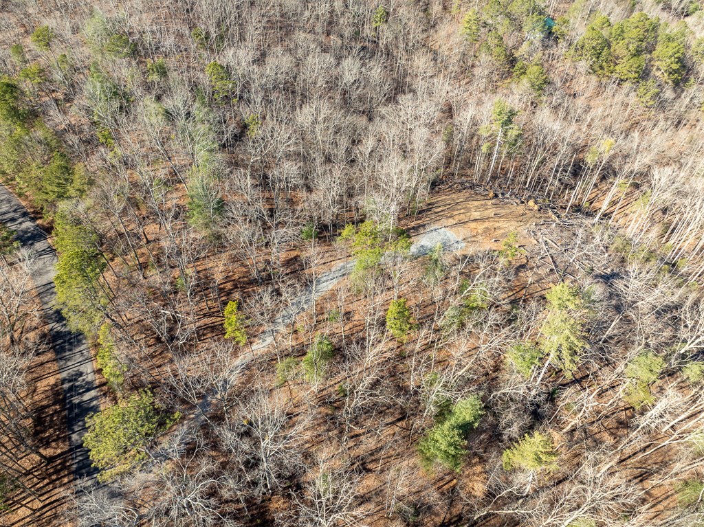 Lot 32R Woodring Branch Road