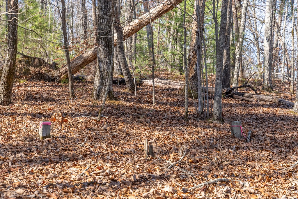 Lot 32R Woodring Branch Road