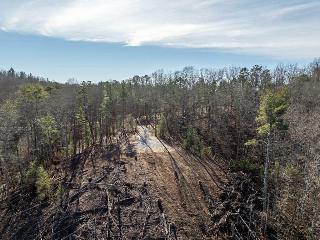 Lot 32R Woodring Branch Road