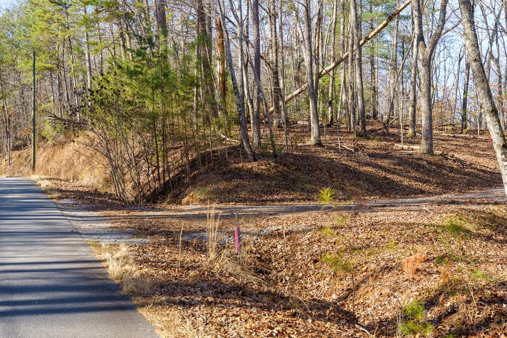 Lot 32R Woodring Branch Road