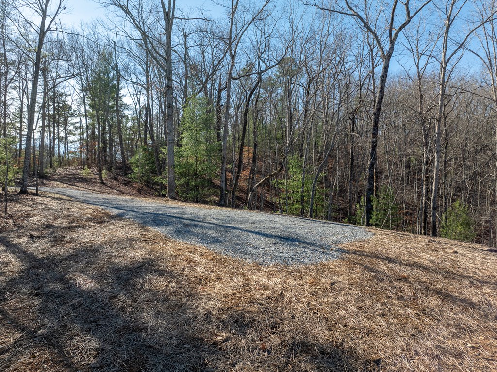 Lot 32R Woodring Branch Road