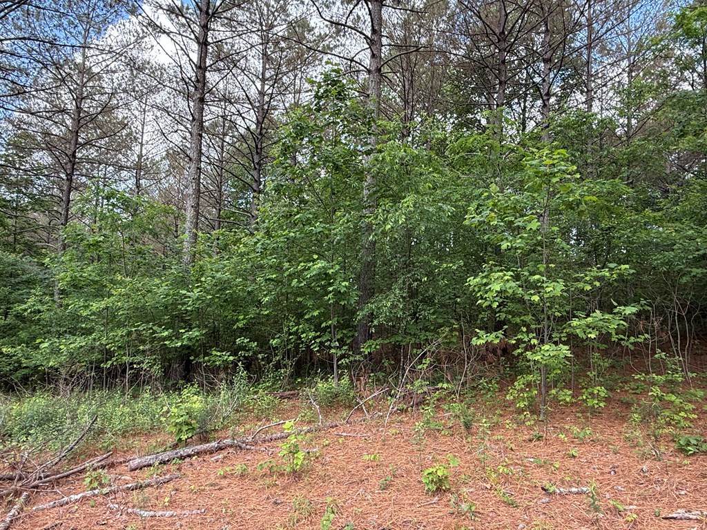 Lot 9 Eastview Trail