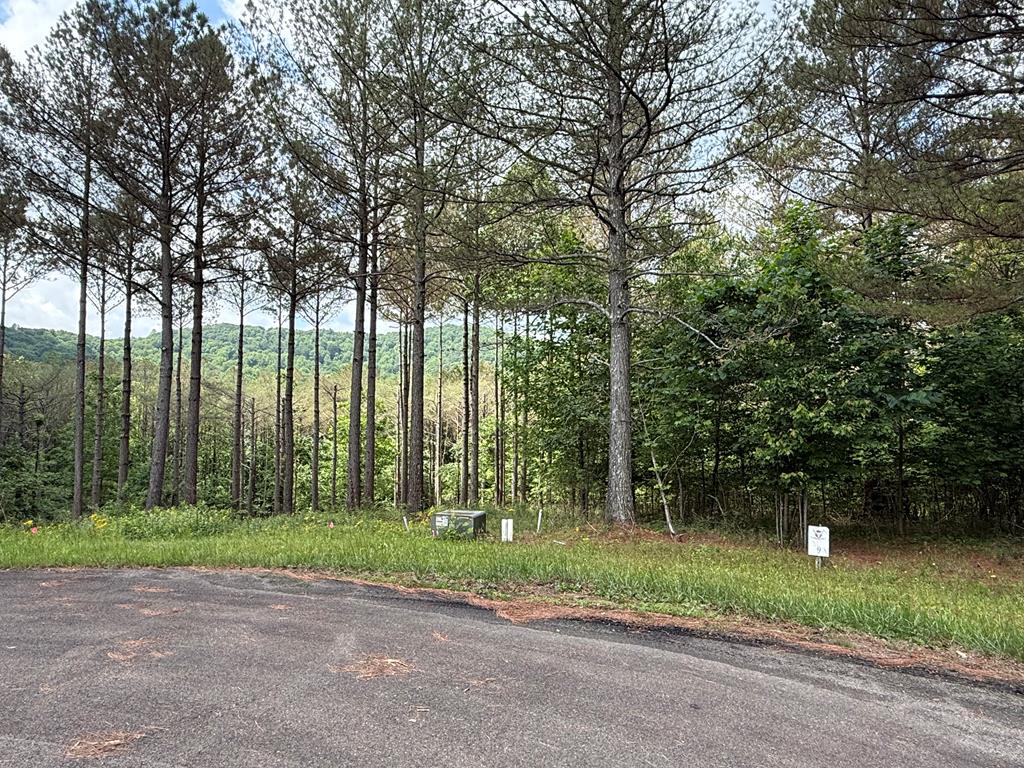 Lot 9 Eastview Trail