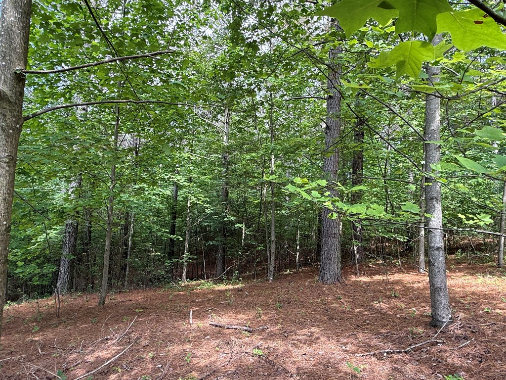 Lot 9 Eastview Trail