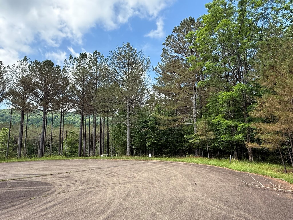 Lot 9 Eastview Trail