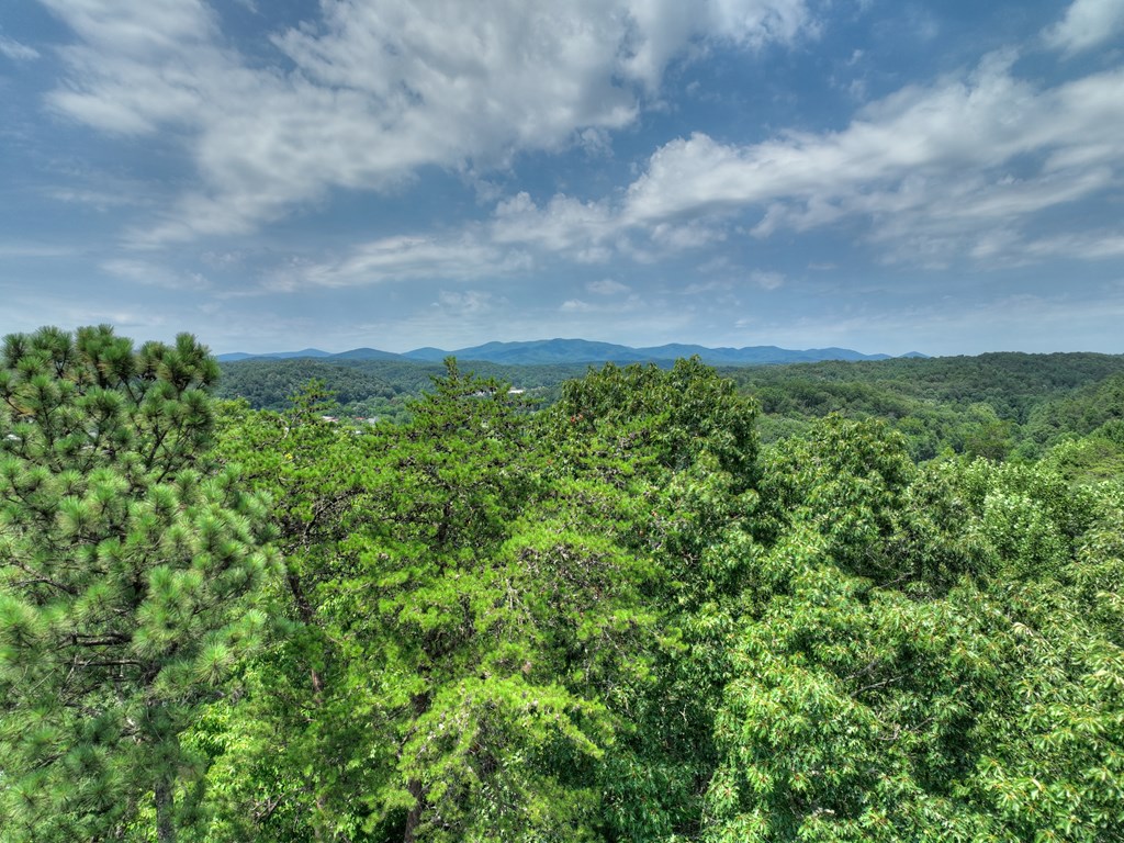 Lot 4 Mountain Trace