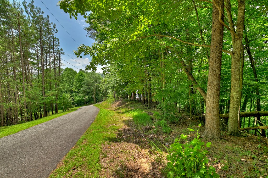 Lot 4 Mountain Trace