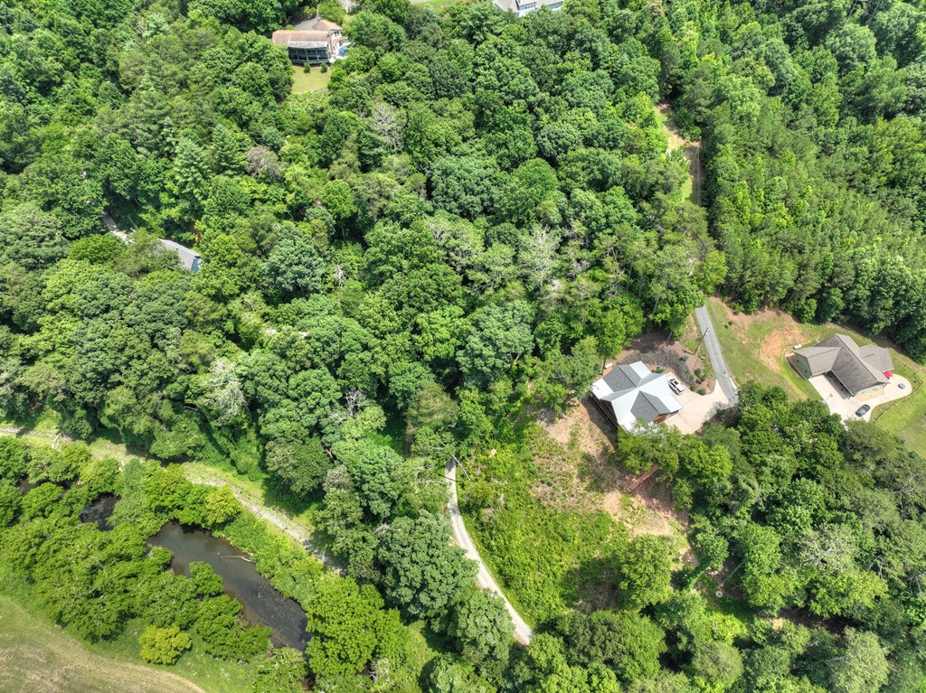 Lot 4 Mountain Trace