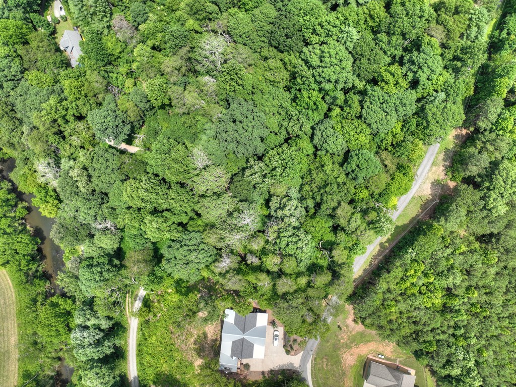 Lot 4 Mountain Trace