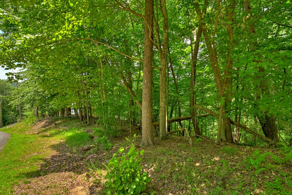 Lot 4 Mountain Trace