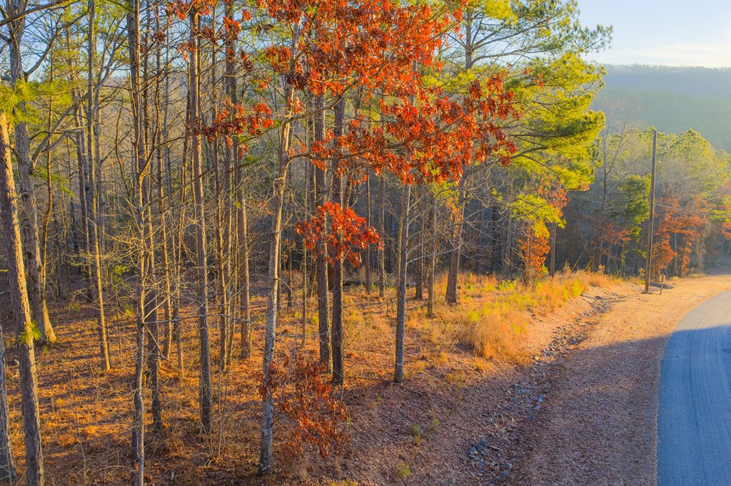 Lot 2 Blalock Mountain Road