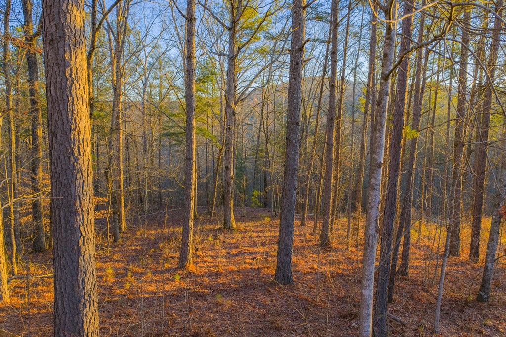 Lot 2 Blalock Mountain Road