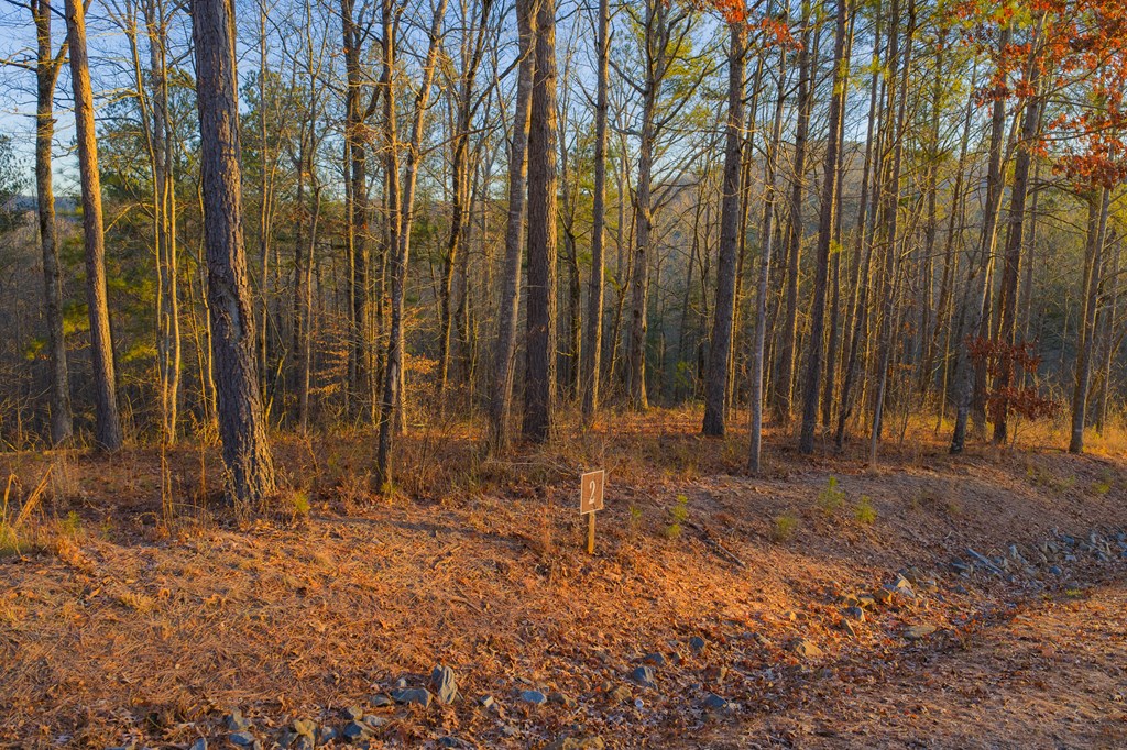 Lot 2 Blalock Mountain Road
