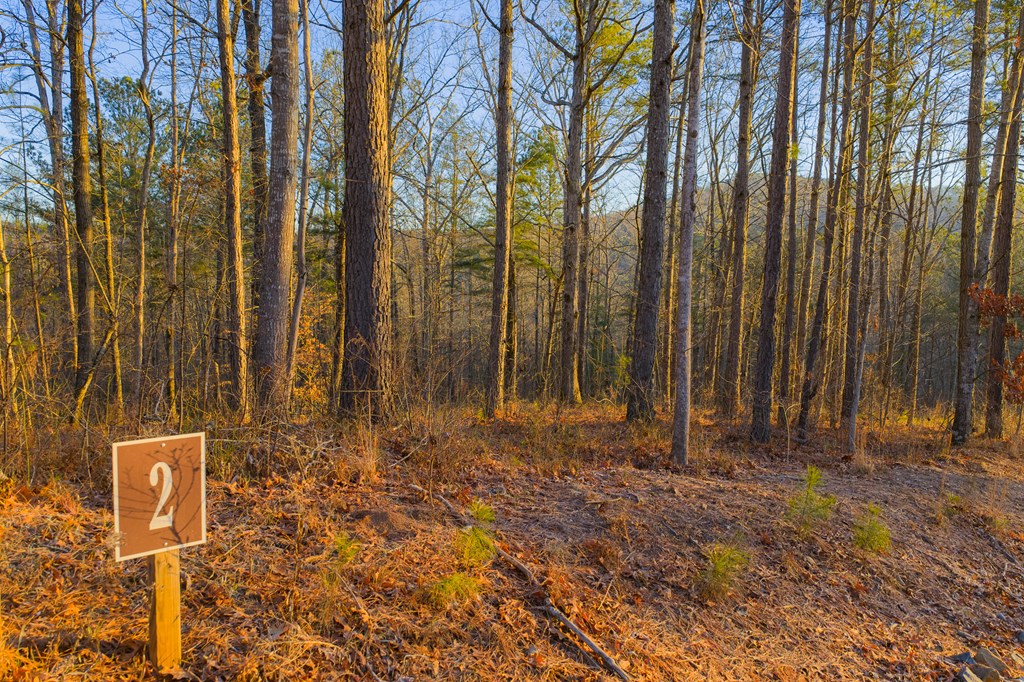 Lot 2 Blalock Mountain Road