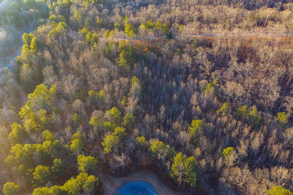 Lot 2 Blalock Mountain Road