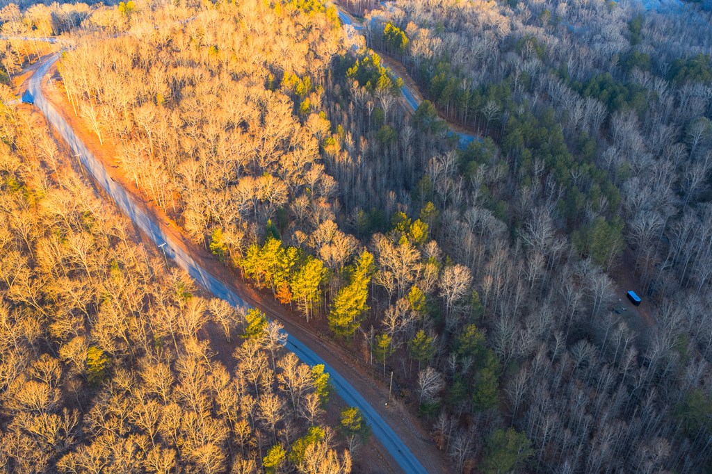 Lot 2 Blalock Mountain Road