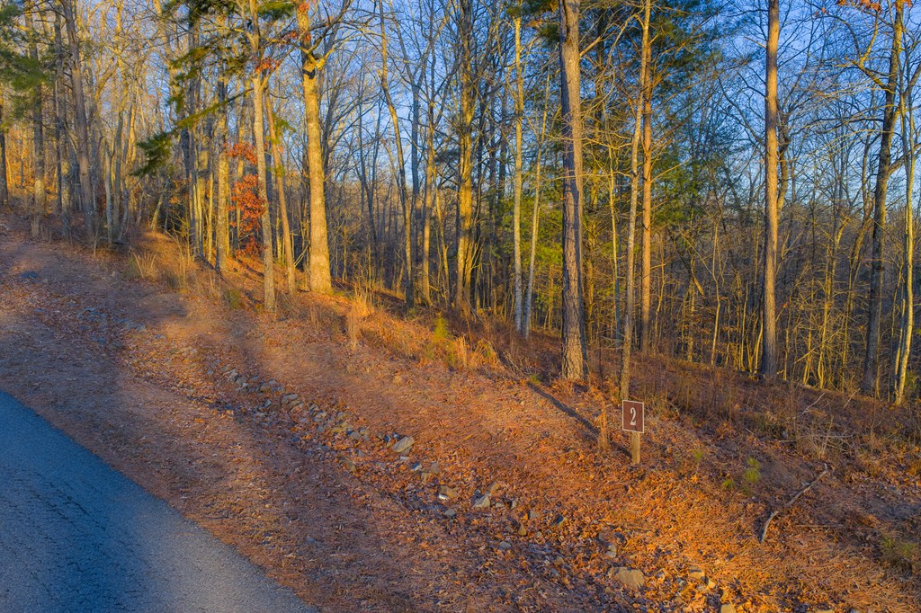 Lot 2 Blalock Mountain Road