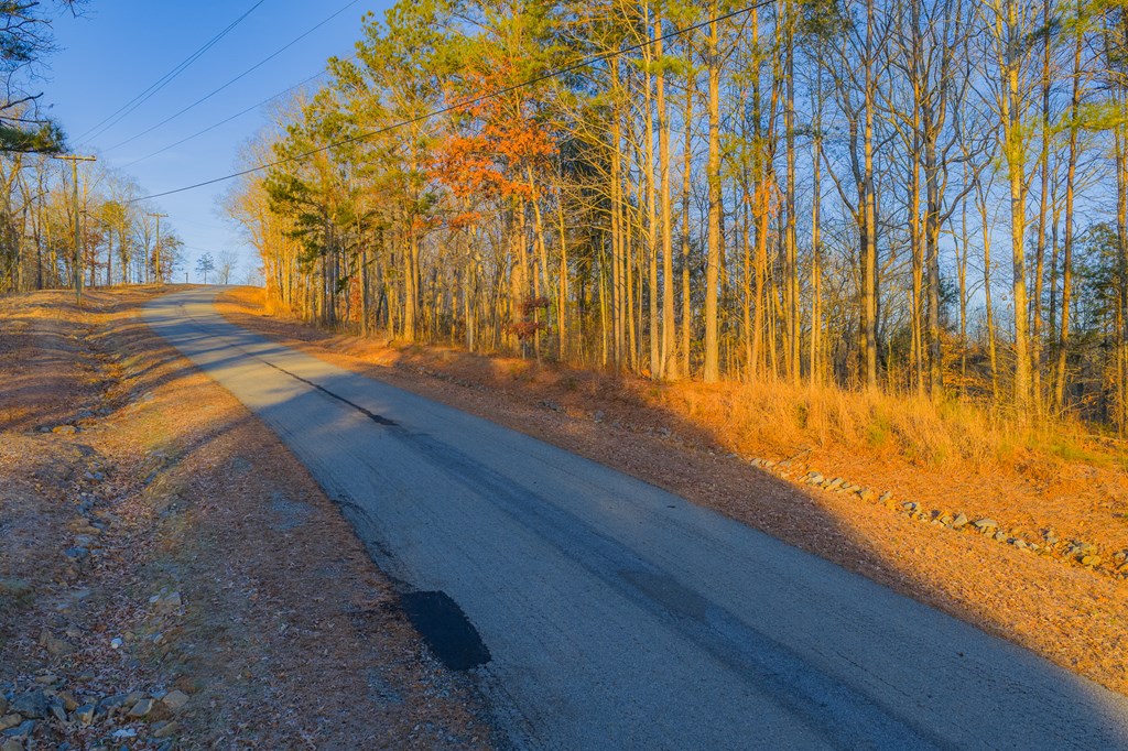 Lot 2 Blalock Mountain Road