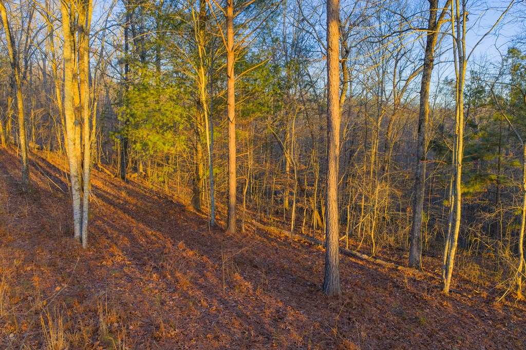 Lot 2 Blalock Mountain Road