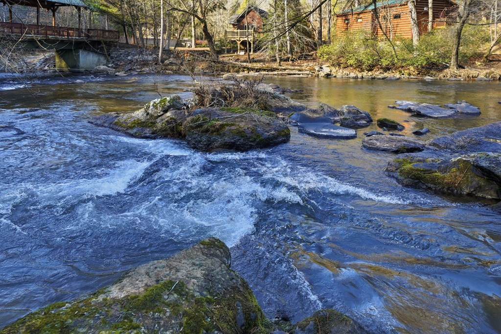 269 Blackberry Falls Drive