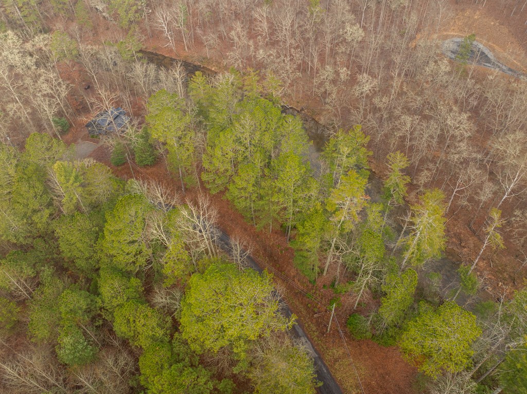 Lot 1742 Meadow Lane