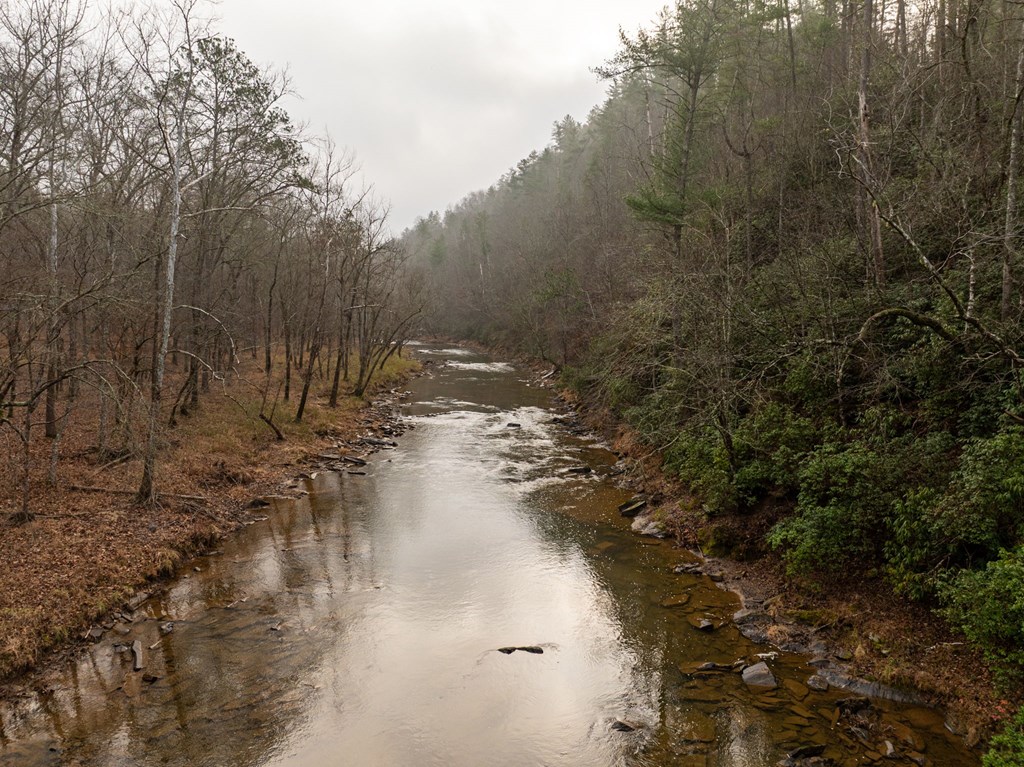 Lot 1742 Meadow Lane