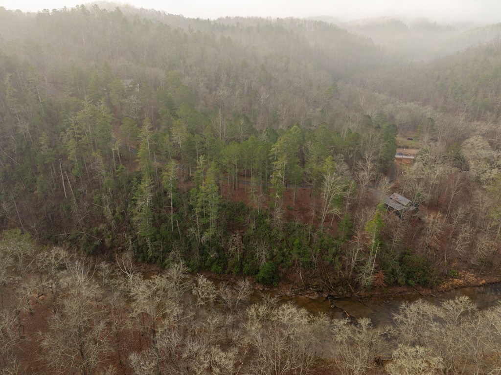 Lot 1742 Meadow Lane