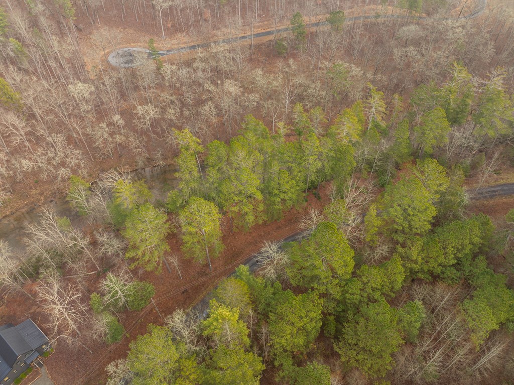 Lot 1742 Meadow Lane