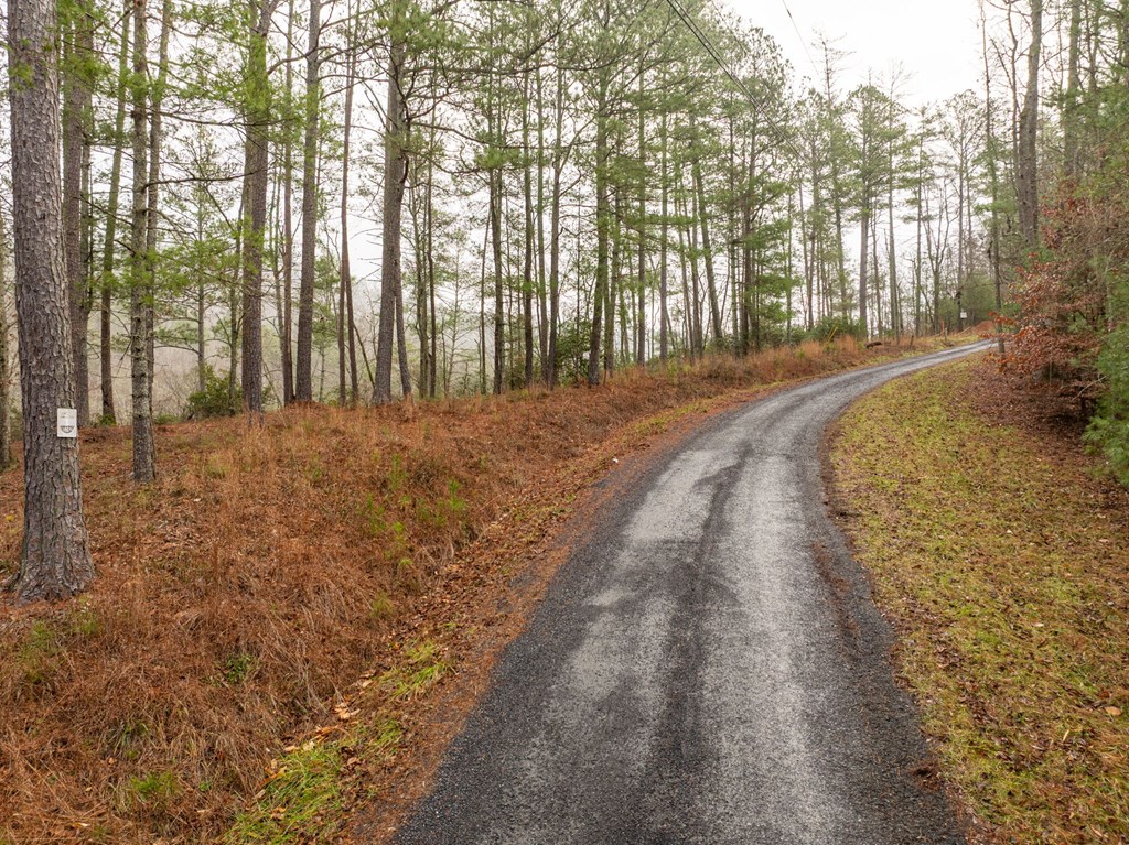 Lot 1742 Meadow Lane