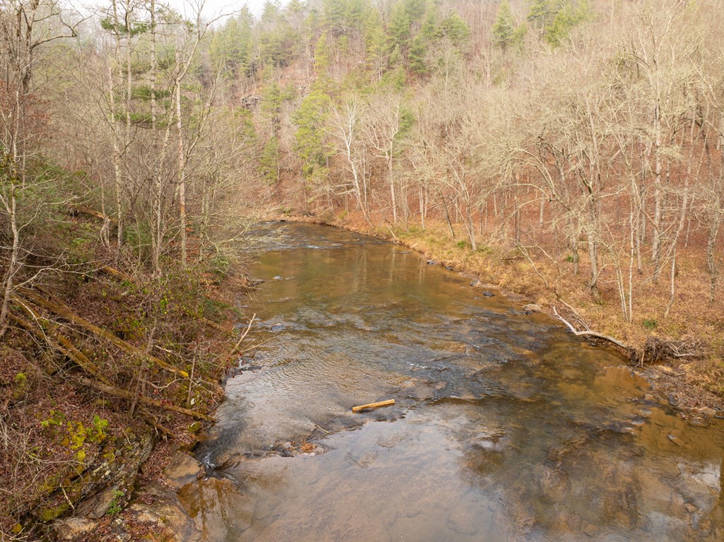 Lot 1742 Meadow Lane