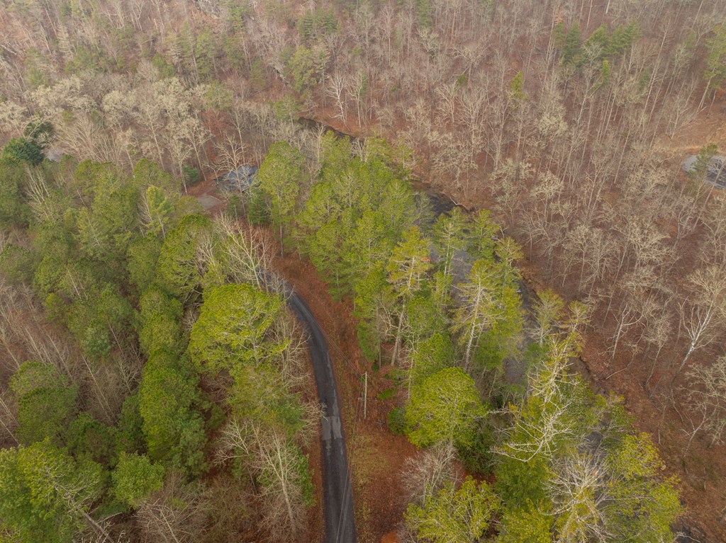 Lot 1742 Meadow Lane