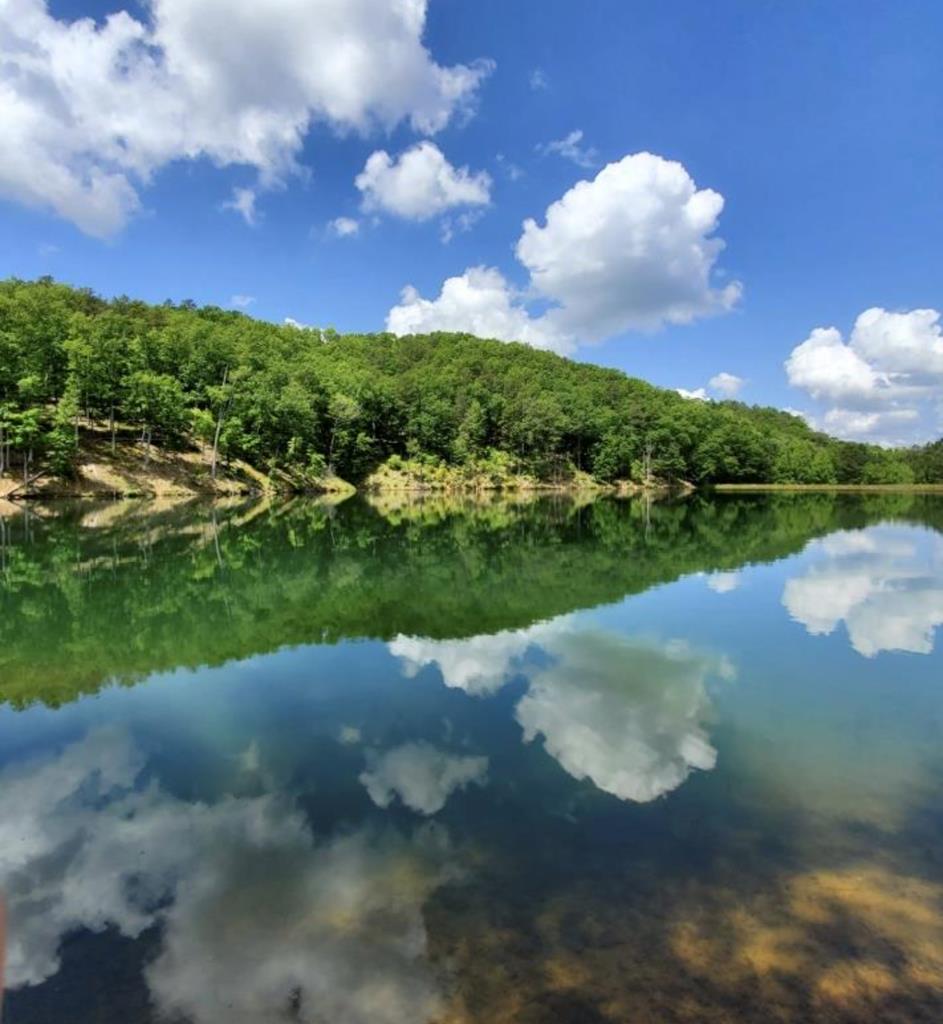 Lot 1742 Meadow Lane