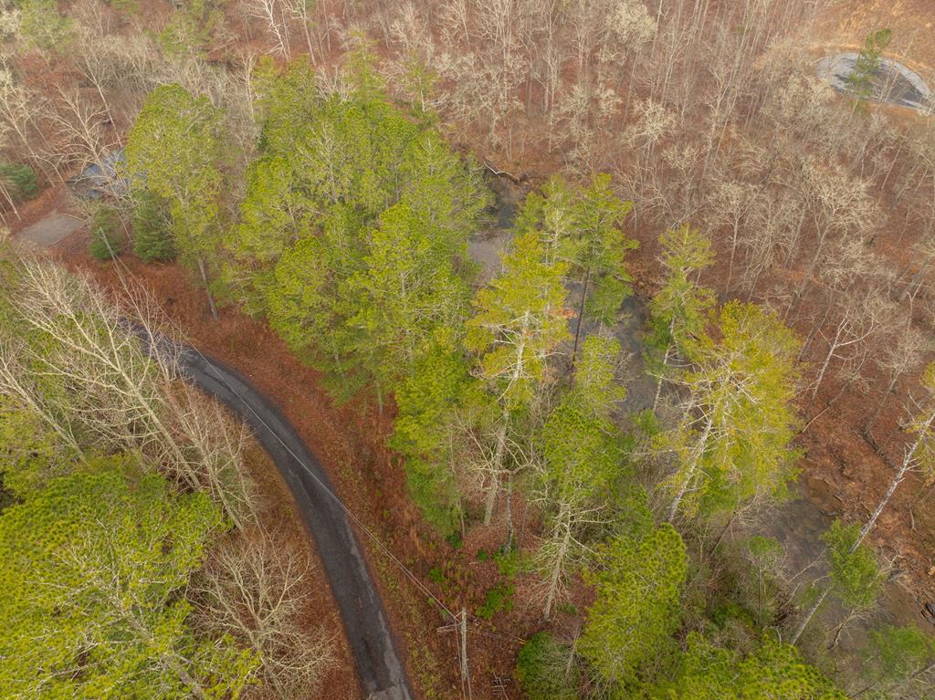 Lot 1742 Meadow Lane