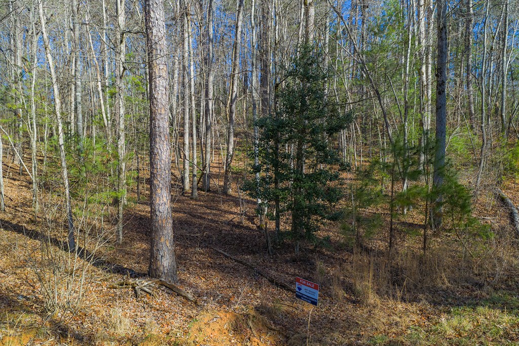 Lot 117 Jumper Drive