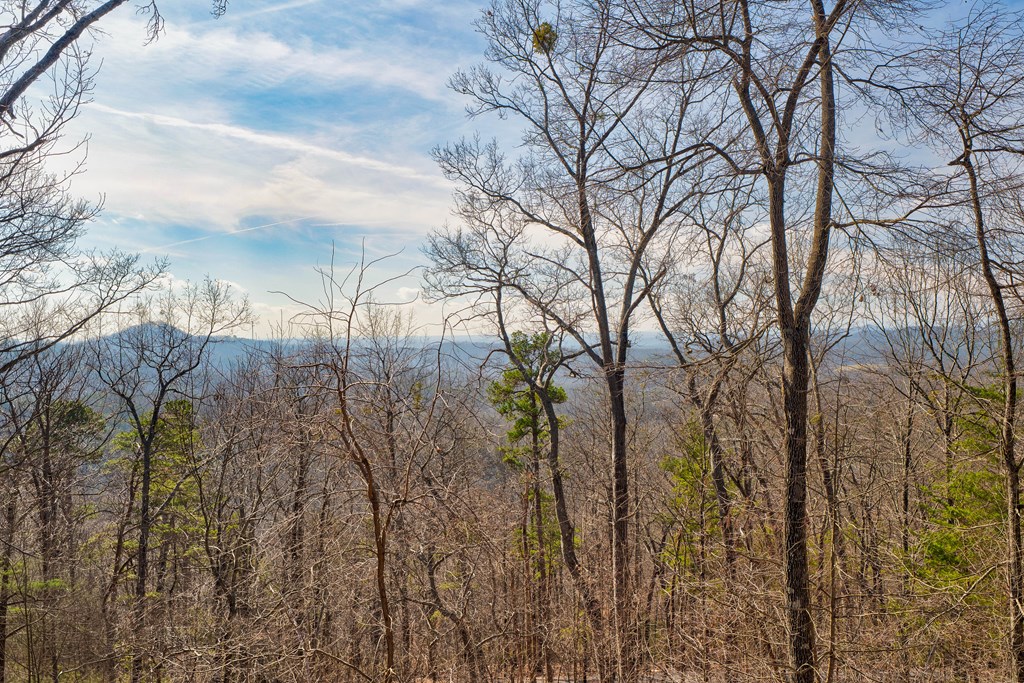 105 Yonah View Drive