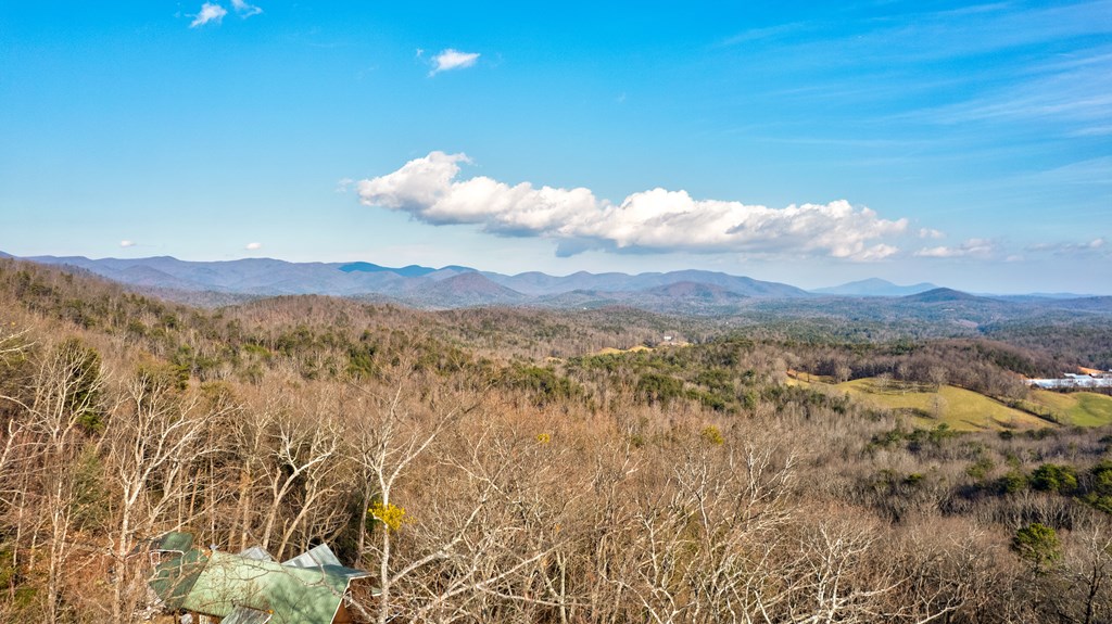 105 Yonah View Drive