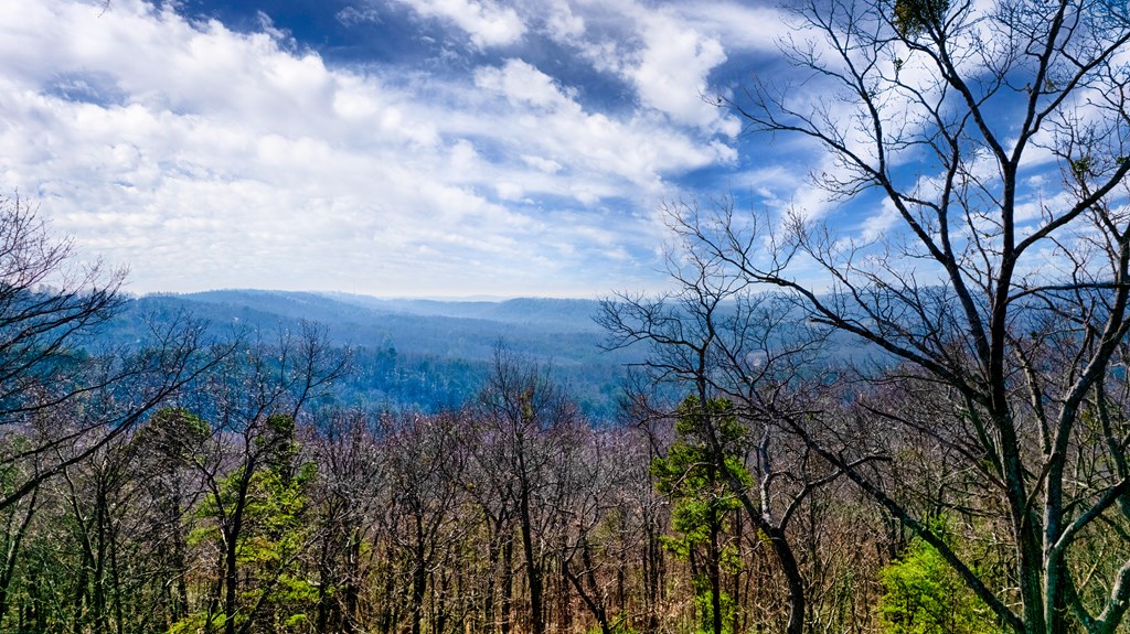 105 Yonah View Drive