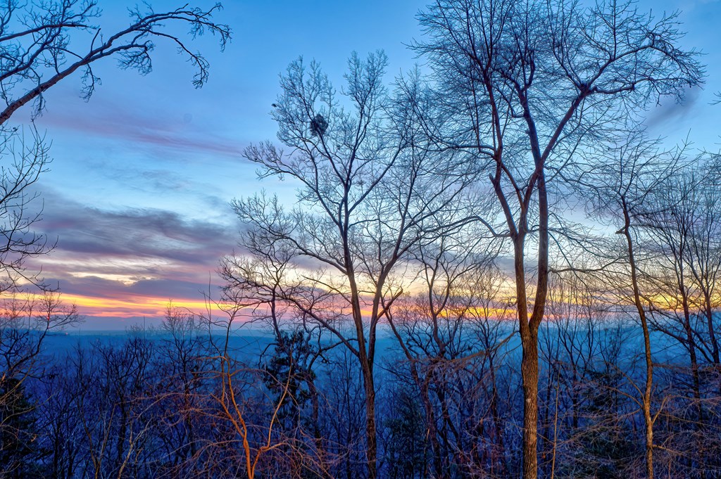 105 Yonah View Drive