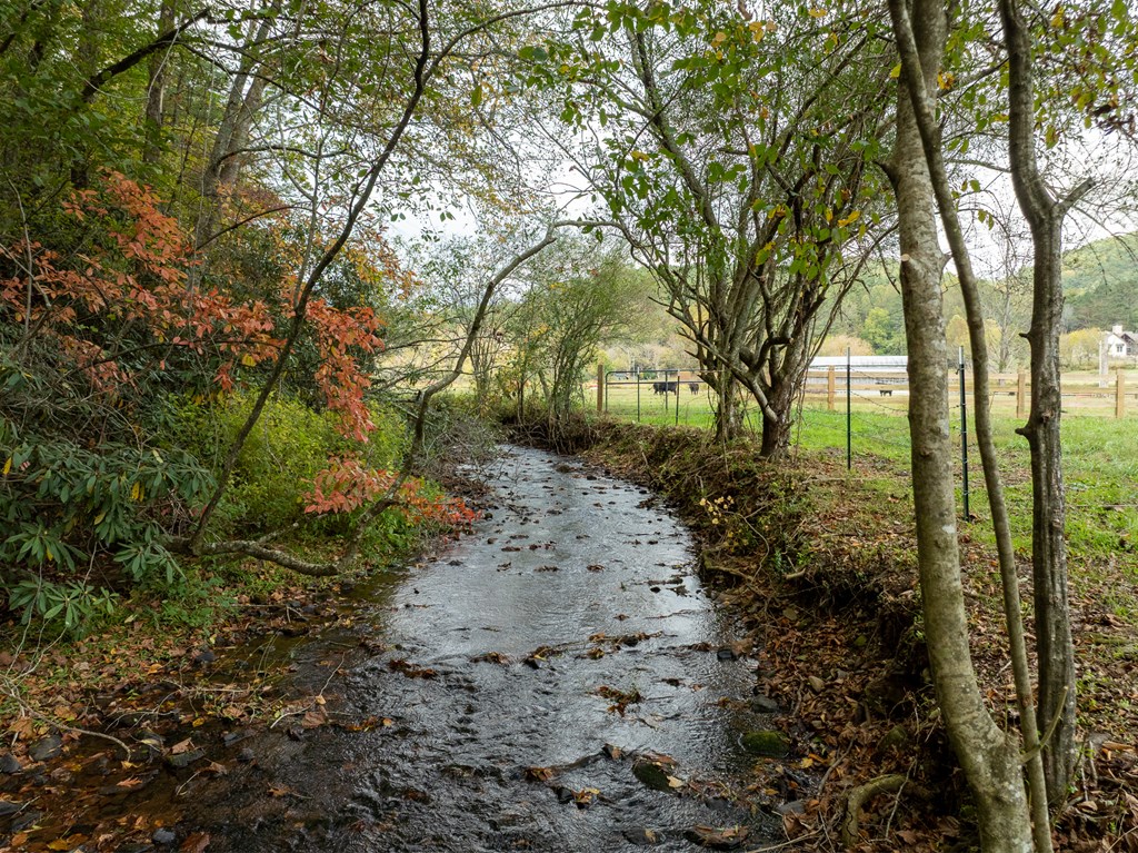 2673 Tails Creek Church Road