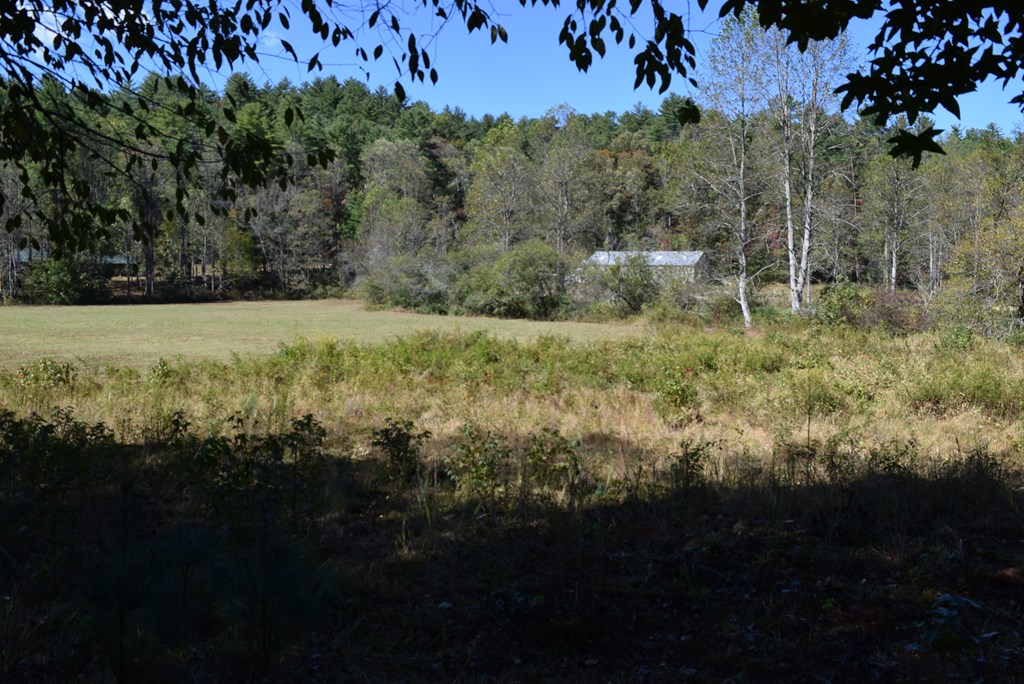 32.98 Ac Zion Hill Road
