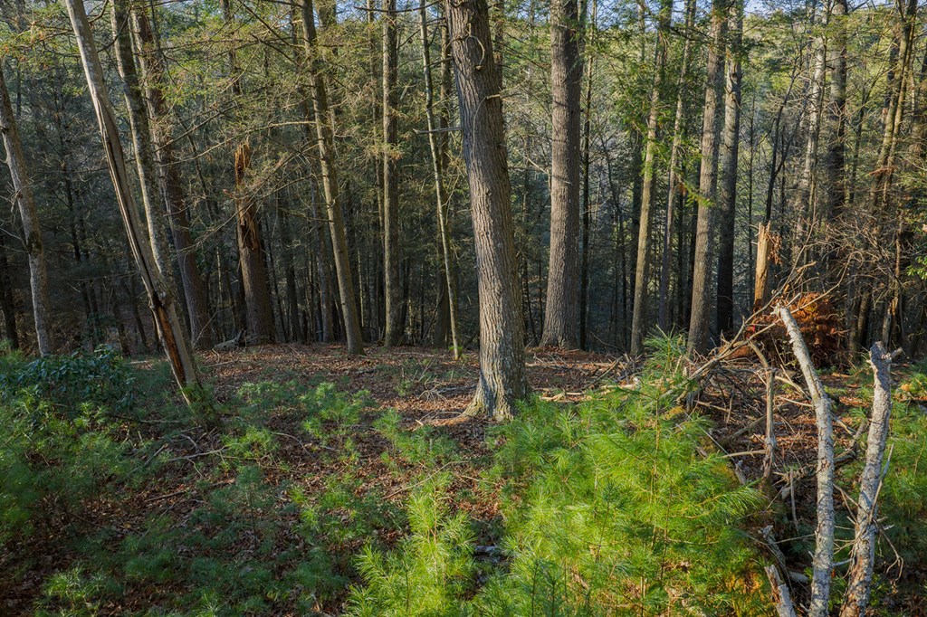 Lot 56 Riverbend Trail