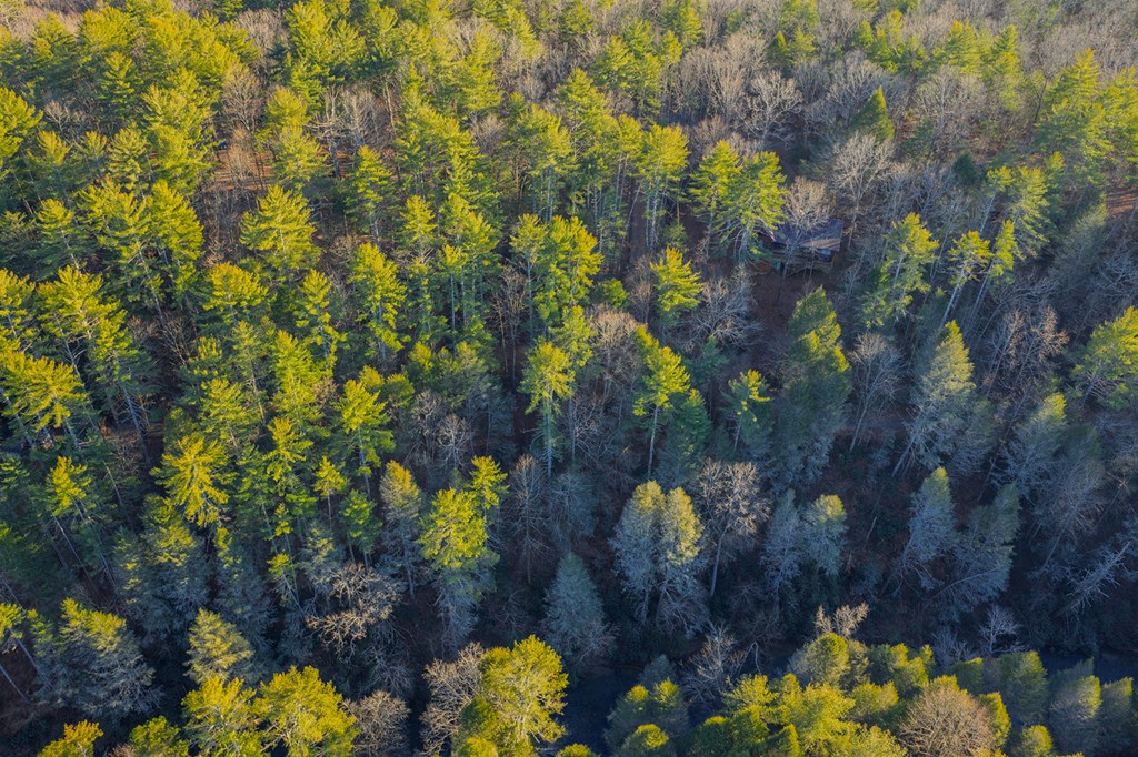 Lot 56 Riverbend Trail