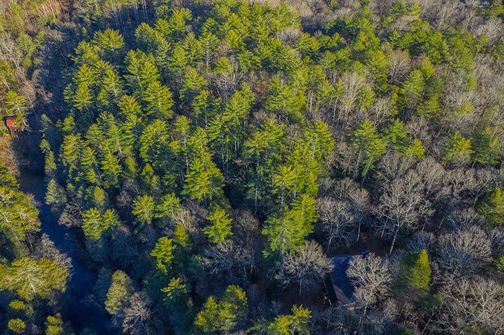 Lot 56 Riverbend Trail