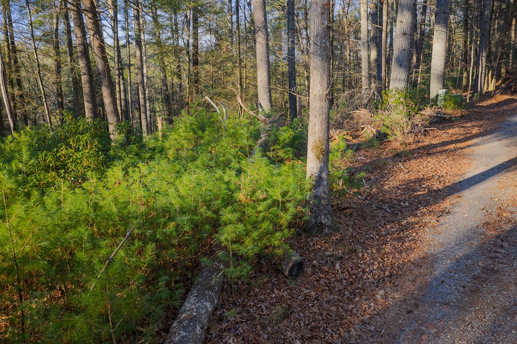 Lot 56 Riverbend Trail