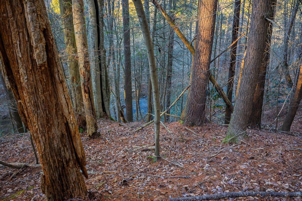 Lot 56 Riverbend Trail