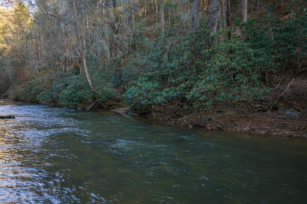 Lot 56 Riverbend Trail