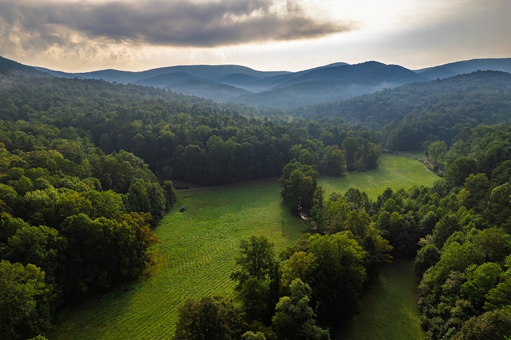 228 Holly Branch Drive