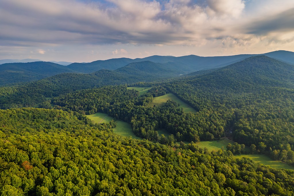 228 Holly Branch Drive