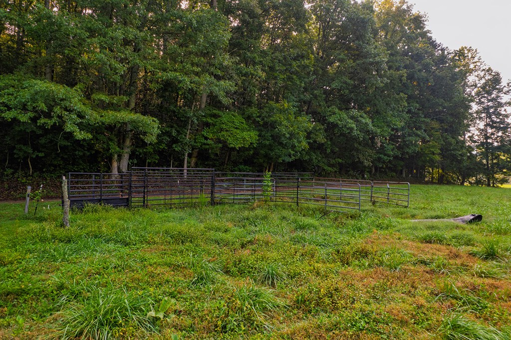 228 Holly Branch Drive