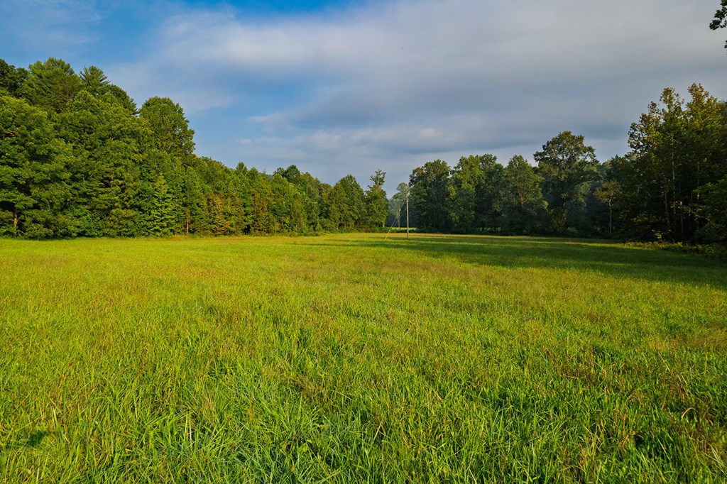 228 Holly Branch Drive